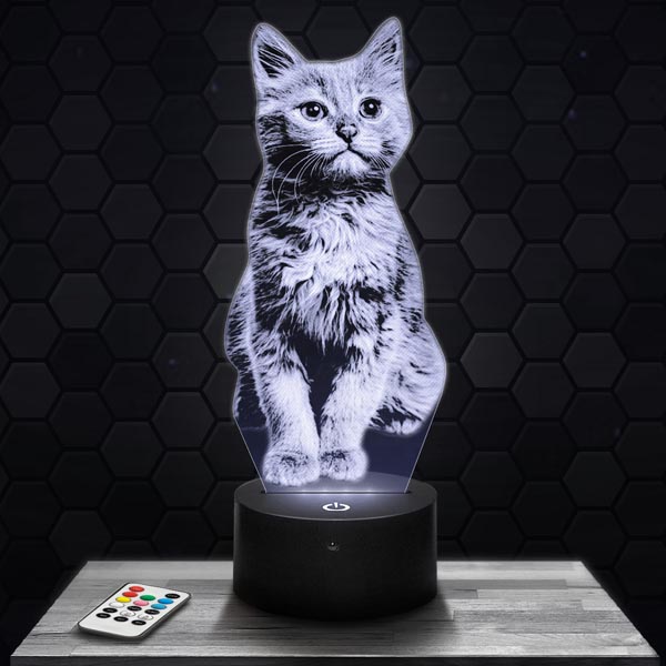 lampe-3d-chaton